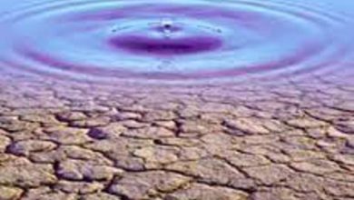 سازگاری با کم آبی ضروری‌ترین اصل در دستیابی به تامین پایدار آب و توسعه پایدار کشور