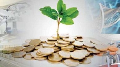 ۸ گام طلایی برای سرمایه‌گذاری آینده؛۸ بسته حمایتی صندوق نوآوری سکوی پرتاب دانش‌بنیان‌ها می‌شود