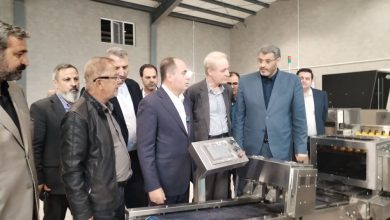 وزیر جهاد کشاورزی از دو طرح کشاورزی در ورامین بازدید کرد