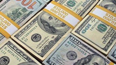۶۹۵ میلیون دلار ارز برای واردات تامین شد