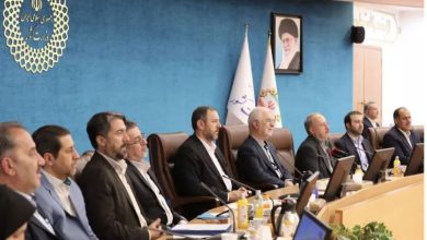 وزیر کشور: نظارت باید با حمایت همراه باشد