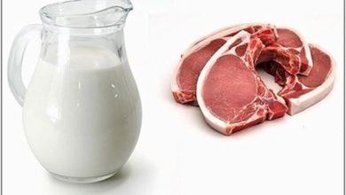 آوردن کالای گوشتی و لبنی همراه مسافران به انگلیس ممنوع شد