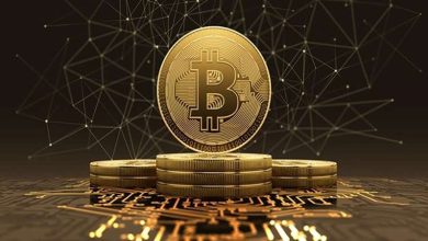 پیش بینی افراد شاخص در مورد قیمت آینده بیت کوین ؛ آخرین وضعیت بازار رمزارزها در جهان