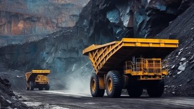 فقط ۲ درصد از ذخایر معدنی ایران کشف شده است