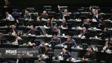 درخواست نمایندگان برای تحقیق و تفحص از شرکت سرمایه‌گذاری توسعه معادن