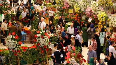 نمایشگاه گل و گیاه محلات 23 خرداد آغاز بکار می‌کند