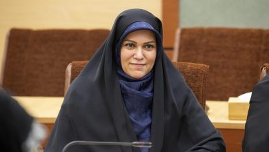 خدادادی: فضای مجلس نسبت به «مدنی‌زاده» مثبت است