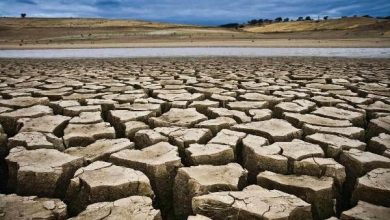 هشدار نسبت به وضعیت آب؛ بیش از ۵۰ شهر در تنش آبی قرار دارند