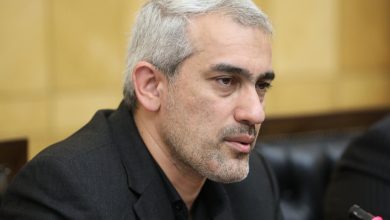 مدنی‌زاده: به‌دنبال خصوصی‌سازی واقعی هستیم