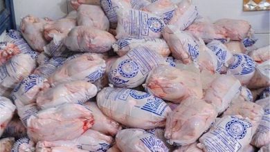 آمادگی برای توزیع مرغ منجمد براساس نیاز استان‌ها | چرا قیمت شیر خام بالا رفت؟
