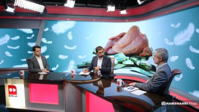 مرغ با طعم دلار! | گوشت مرغ چرا گران شد؟