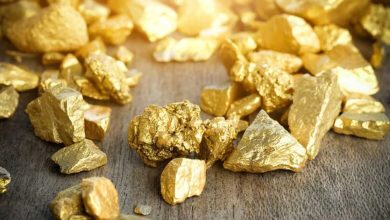 کشف گنج ۱۴۰ تنی در یک استان ایران کشف گنج ۱۴۰ تنی در یک استان ایران