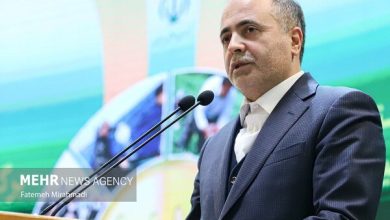 نوری قزلجه: ۲۰ درصد اشتغال کشور در بخش کشاورزی است
