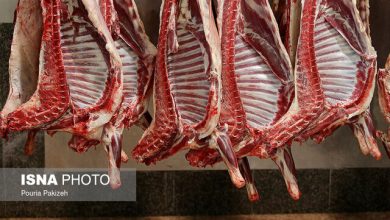 توزیع گوشت وارداتی با قیمت زیر ۷۰۰ هزار تومان از هفته آینده توزیع گوشت وارداتی با قیمت زیر ۷۰۰ هزار تومان از هفته آینده
