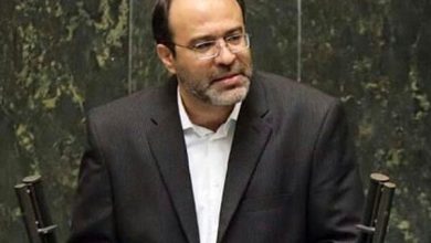 قوانین ارزی برای حفظ ثبات اقتصادی است / نگاه امنیتی به ارز باید اصلاح شود