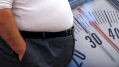 محیطهای صنعتی و چرخه خطرناک استرس و چاقی محیطهای صنعتی و چرخه خطرناک استرس و چاقی