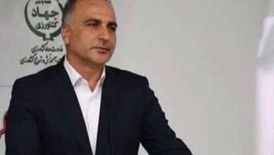 معاون وزیر: در بخش کشاورزی به ۸۰ درصد خوداتکایی رسیدیم/ لازمه تغییر الگوی کشت، استفاده از دانش فنآورانه