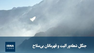 ویدیو/ جنگل الیت و قهرمانان بی‌سلاح