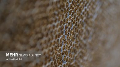 مالیات هر نخ سیگار ۶۵ تومان شد+ جزئیات