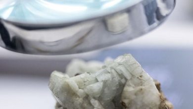 چین درباره مجوزهای صادرات عناصر نادر خاکی کوتاه آمد