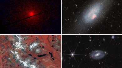 آلبوم تصاویر فضایی روزهای گذشته به انتخاب آژانس فضایی اروپا آلبوم تصاویر فضایی روزهای گذشته به انتخاب آژانس فضایی اروپا